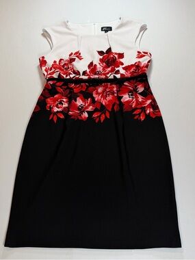 Studio Connection Women's Border Printed Ottoman Derby Dress with Belt Size 16